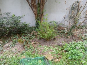 P1090026