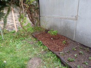 P1090032