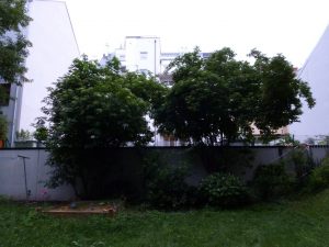 P1090404