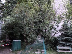 P1090405