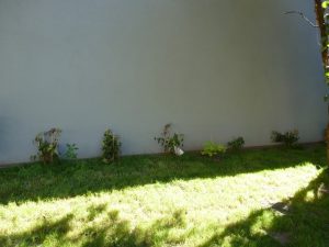 P1090486